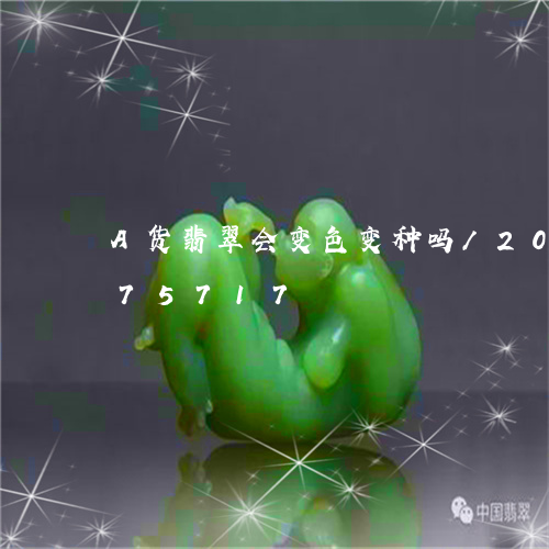 A货翡翠会变色变种吗/2023072275717