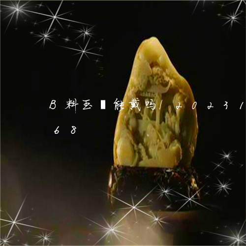 B料玉镯能戴吗/2023121616168