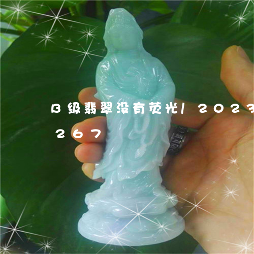 B级翡翠没有荧光/2023042603267