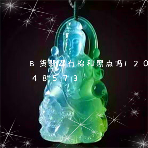 B货翡翠有棉和黑点吗/2023072248573