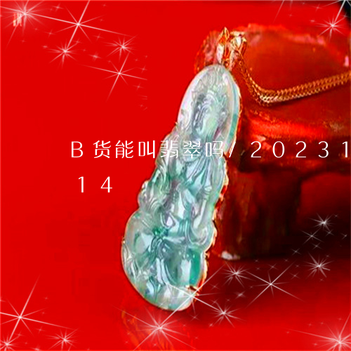 B货能叫翡翠吗/2023112441714