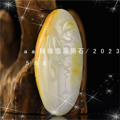 aa随缘翡翠原石/2023042616588