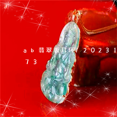 ab翡翠版耳环/2023121618473