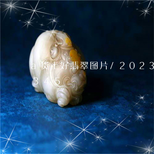 a货上好翡翠图片/2023042610345