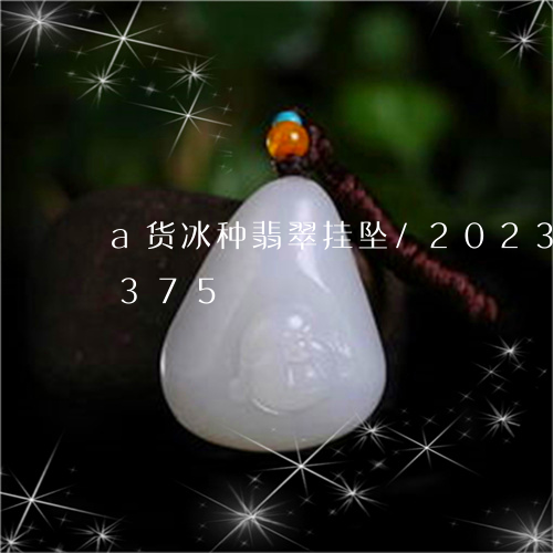 a货冰种翡翠挂坠/2023042613375