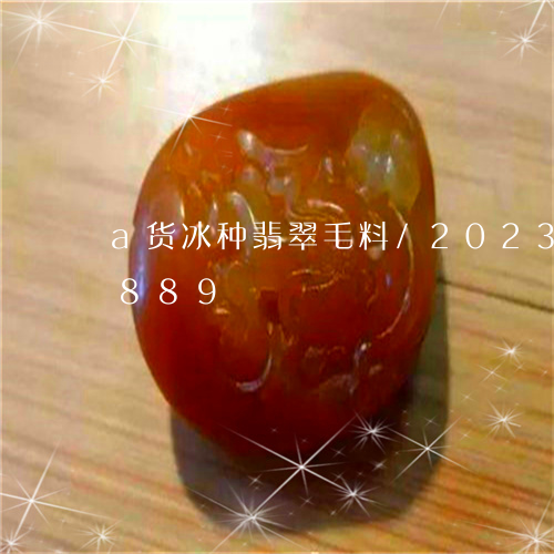 a货冰种翡翠毛料/2023042616889