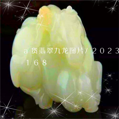 a货翡翠九龙图片/2023042635168