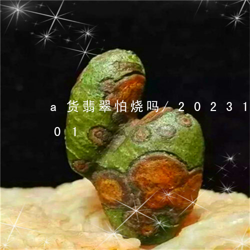 a货翡翠怕烧吗/2023121669501