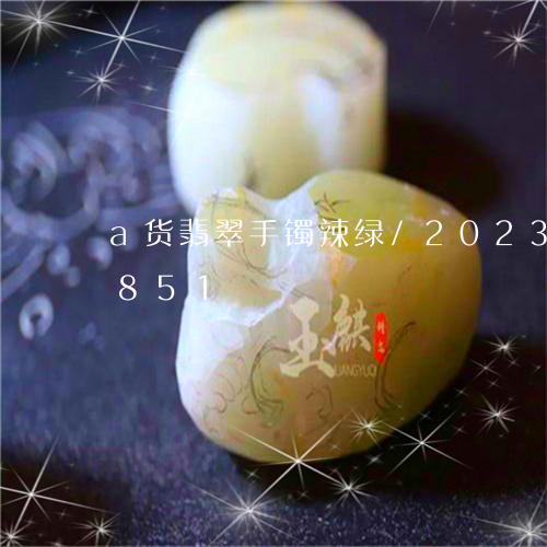 a货翡翠手镯辣绿/2023042668851