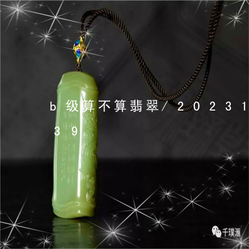 b级算不算翡翠/2023112376239