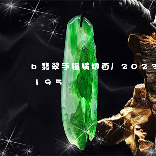 b翡翠手镯横切面/2023042632195