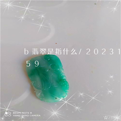 b翡翠是指什么/2023112376259