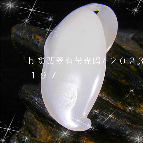 b货翡翠有莹光吗/2023042697197