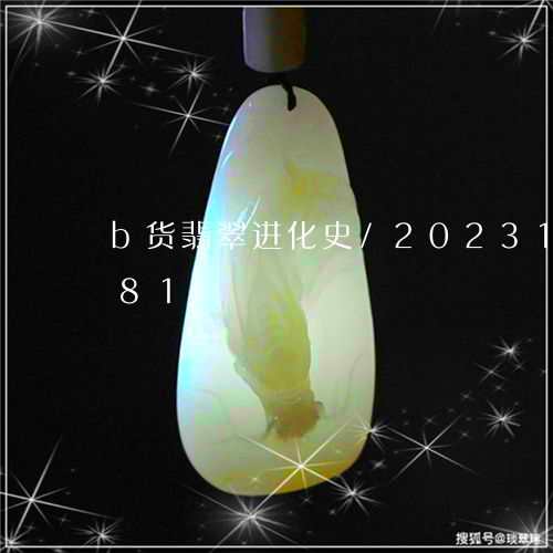 b货翡翠进化史/2023121658481