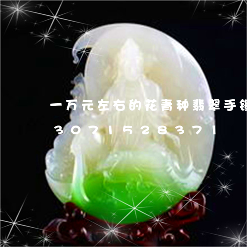 一万元左右的花青种翡翠手镯图片/2023071528371