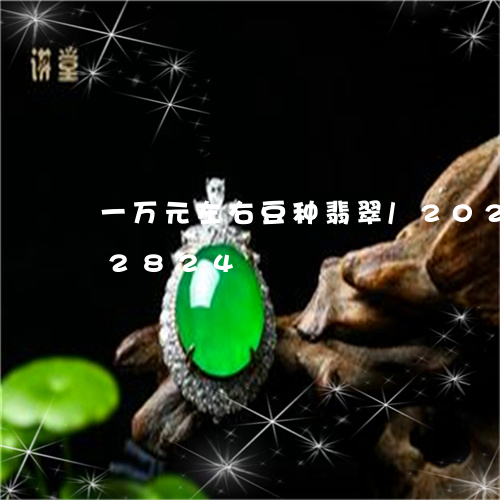 一万元左右豆种翡翠/2023110152824