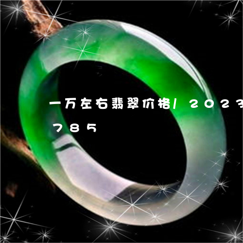 一万左右翡翠价格/2023042770785