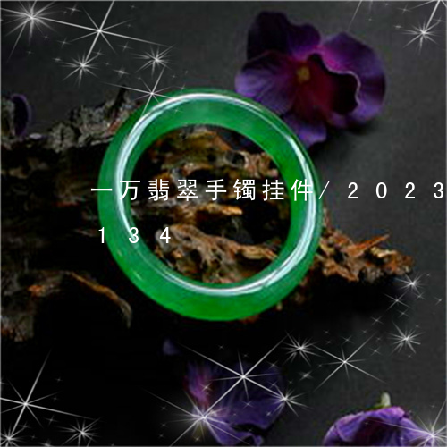 一万翡翠手镯挂件/2023042719134