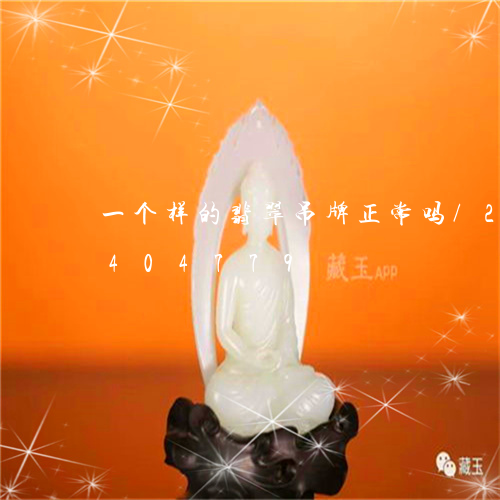 一个样的翡翠吊牌正常吗/2023031404779