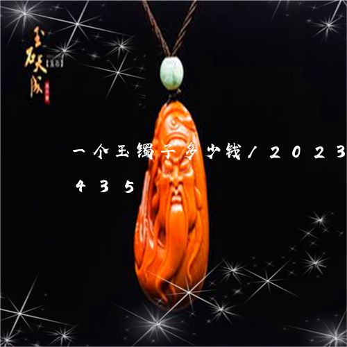 一个玉镯子多少钱/2023042771435