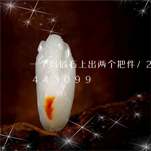 一个玛瑙石上出两个把件/2023031443099