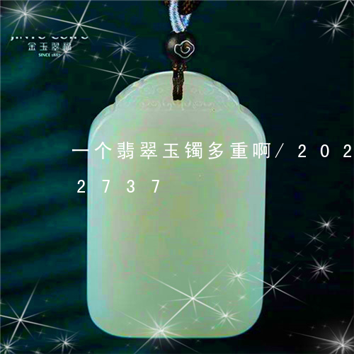 一个翡翠玉镯多重啊/2023102522737