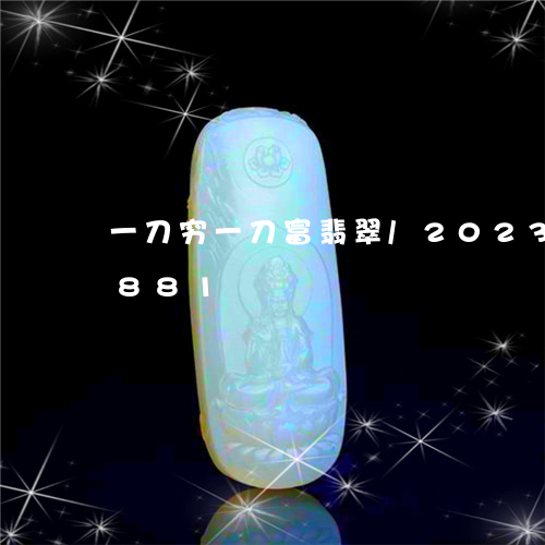 一刀穷一刀富翡翠/2023042780881