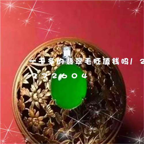 一千多的翡翠毛胚值钱吗/2023111772604