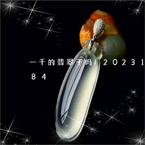 一千的翡翠干吗/2023121611584