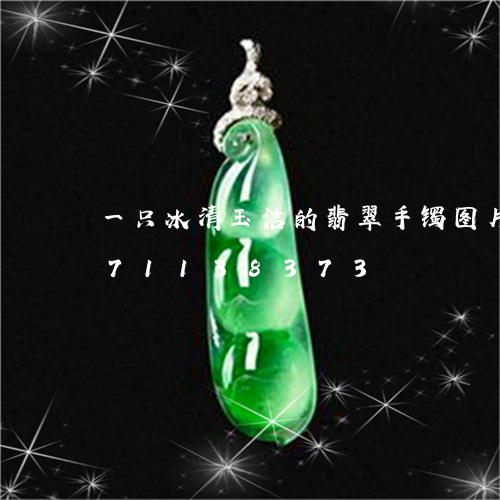 一只冰清玉洁的翡翠手镯图片/2023071138373