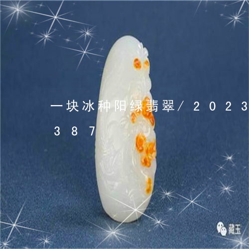 一块冰种阳绿翡翠/2023042707387