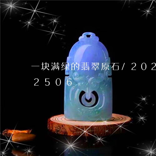 一块满绿的翡翠原石/2023110112506