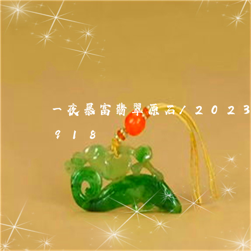 一夜暴富翡翠原石/2023042652918