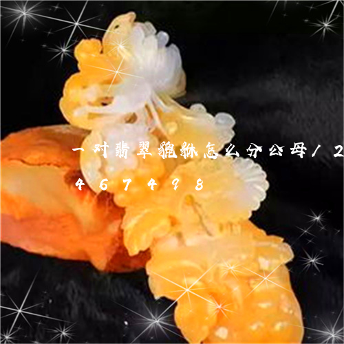 一对翡翠貔貅怎么分公母/2023031467498