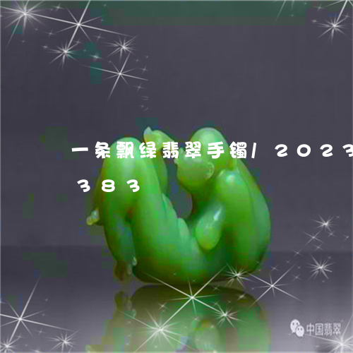 一条飘绿翡翠手镯/2023042613383