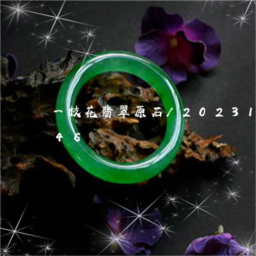 一枝花翡翠原石/2023121686046