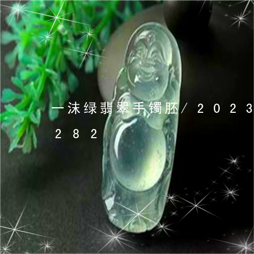 一沫绿翡翠手镯胚/2023042602282