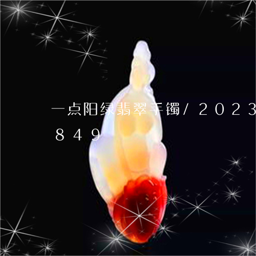 一点阳绿翡翠手镯/2023042674849