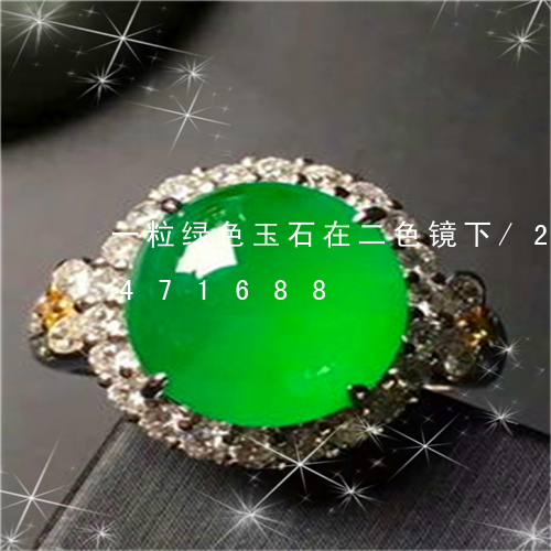 一粒绿色玉石在二色镜下/2023031471688
