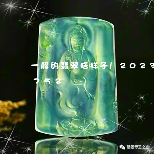 一般的翡翠啥样子/2023042674752