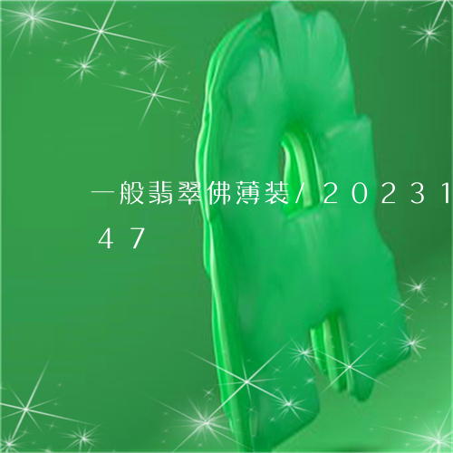 一般翡翠佛薄装/2023121644147