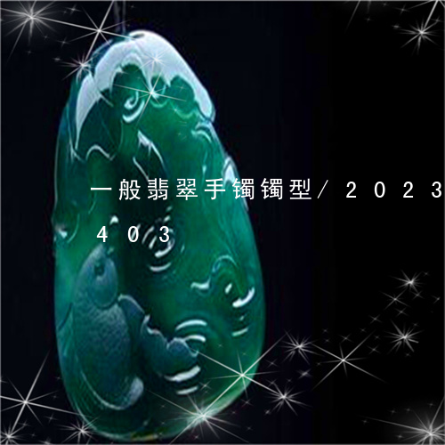 一般翡翠手镯镯型/2023042626403