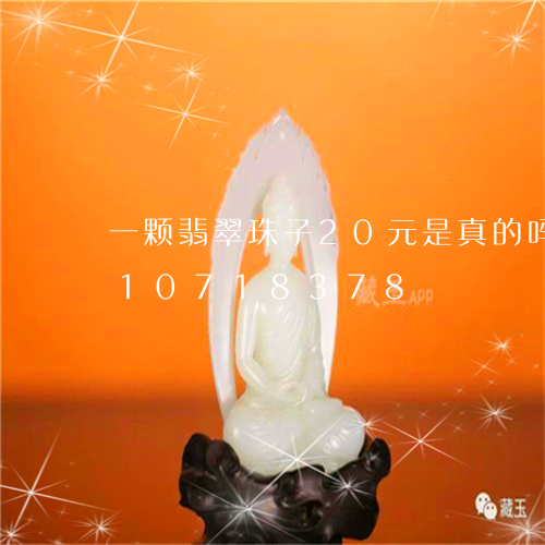 一颗翡翠珠子20元是真的吗/2023110718378