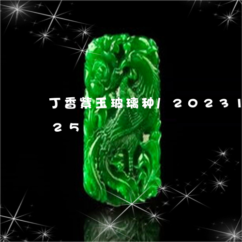 丁香紫玉玻璃种/2023121691725