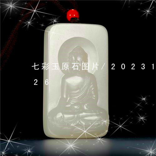 七彩玉原石图片/2023121623826