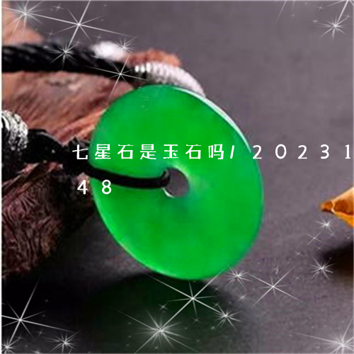 七星石是玉石吗/2023112306048