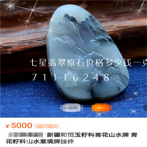 七星翡翠原石价格多少钱一克/2023071116248