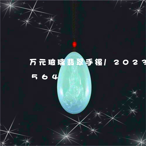 万元玻璃翡翠手镯/2023042689564