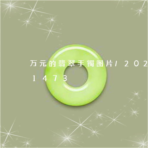 万元的翡翠手镯图片/2023110251473