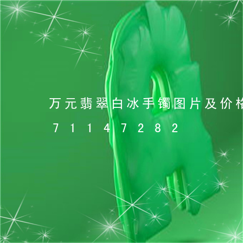 万元翡翠白冰手镯图片及价格/2023071147282